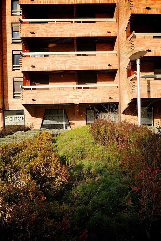 Vue sur végétation et immeuble à la place Occitane à Toulouse