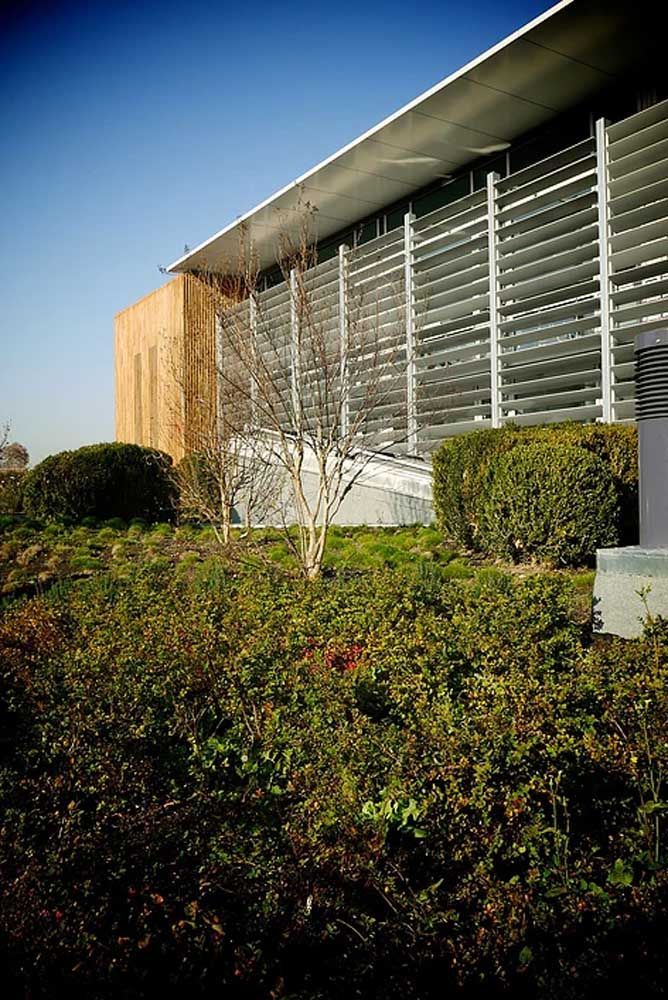 Végétation à l'école des Ponts-Jumeaux