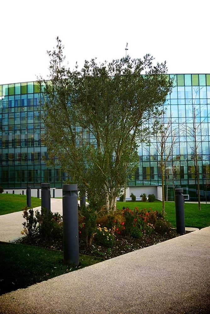 Conseil général de la Haute-Garonne