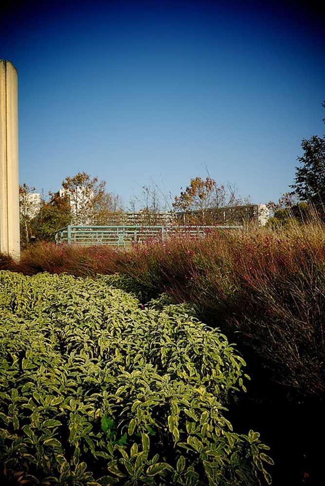 Buissons à la Résidence Clairefontaine de Toulouse