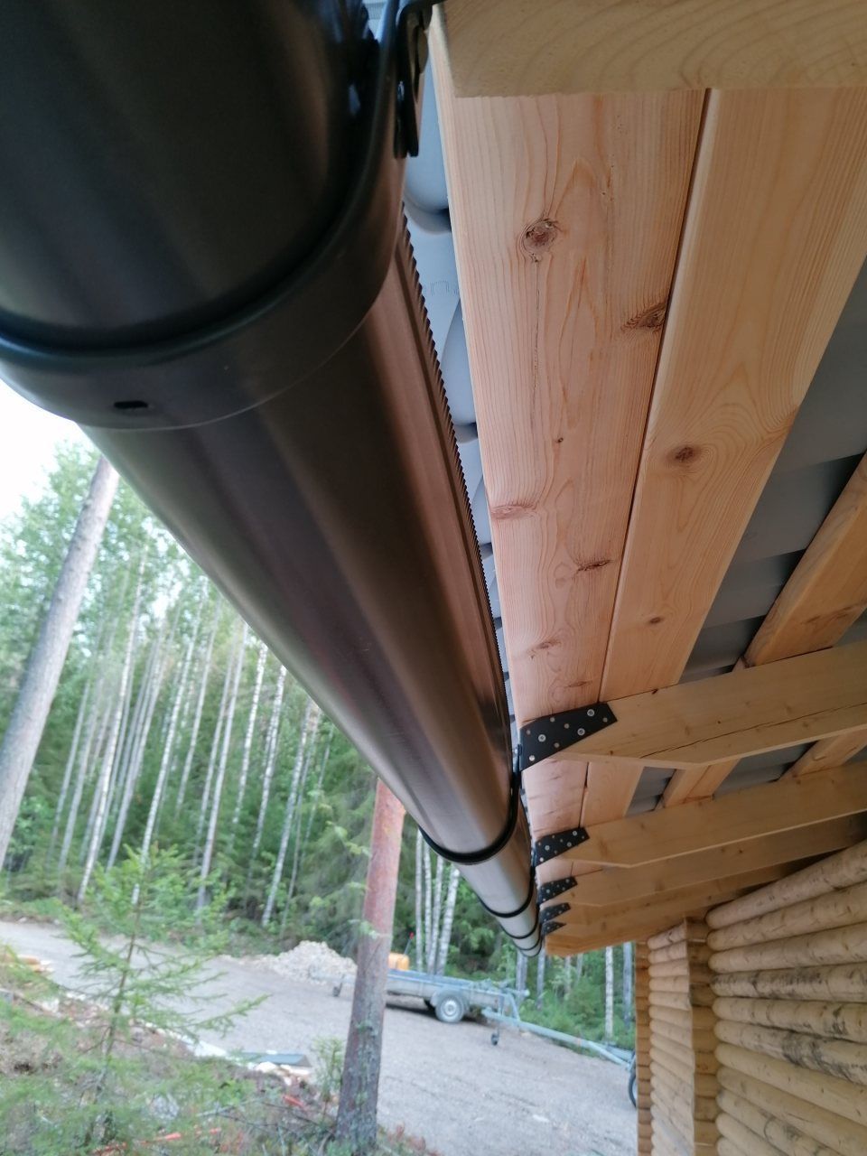 peltipoyhonen