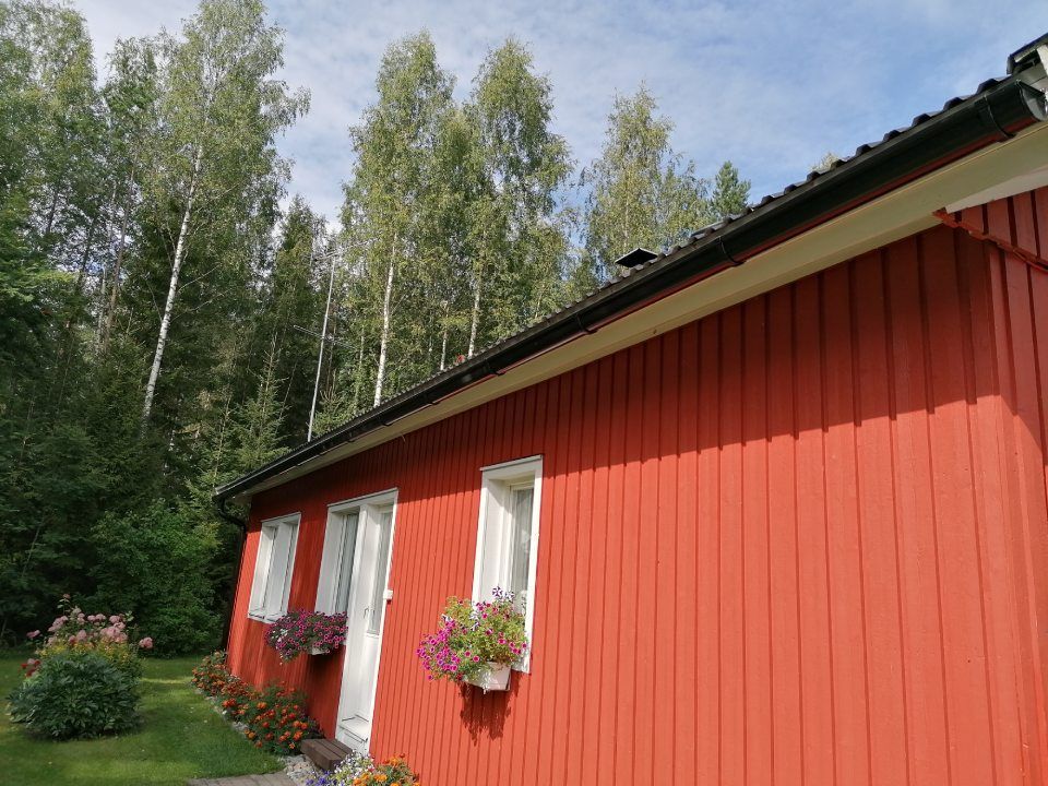 peltipoyhonen