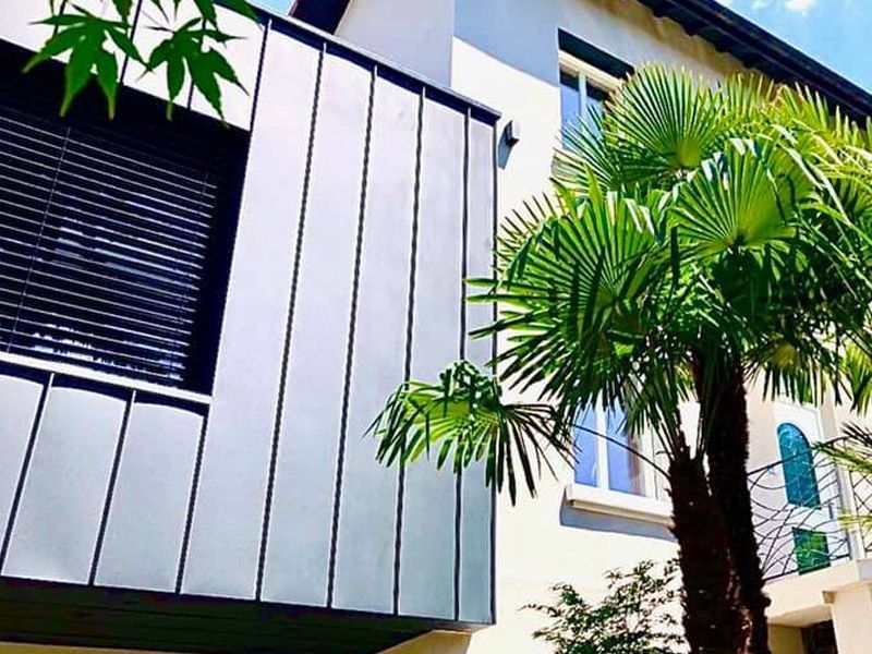 Grand palmier proche d'une façade