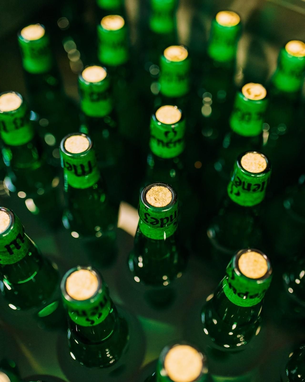 Primer plano de numerosas botellas de vidrio verde con tapones dorados, vistas desde arriba.