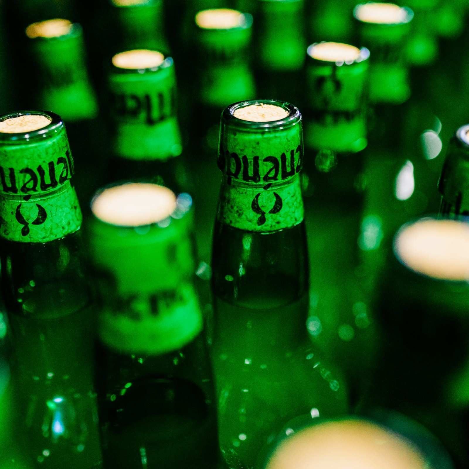 Primer plano de botellas de cerveza de vidrio verde con fondo borroso y tapas visibles.
