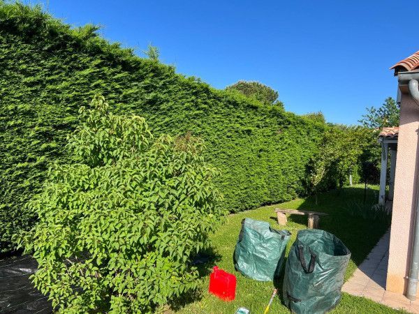 Jardin avec une haute haie verte, une pelouse et des poubelles couvertes à côté d'une maison baignée de soleil