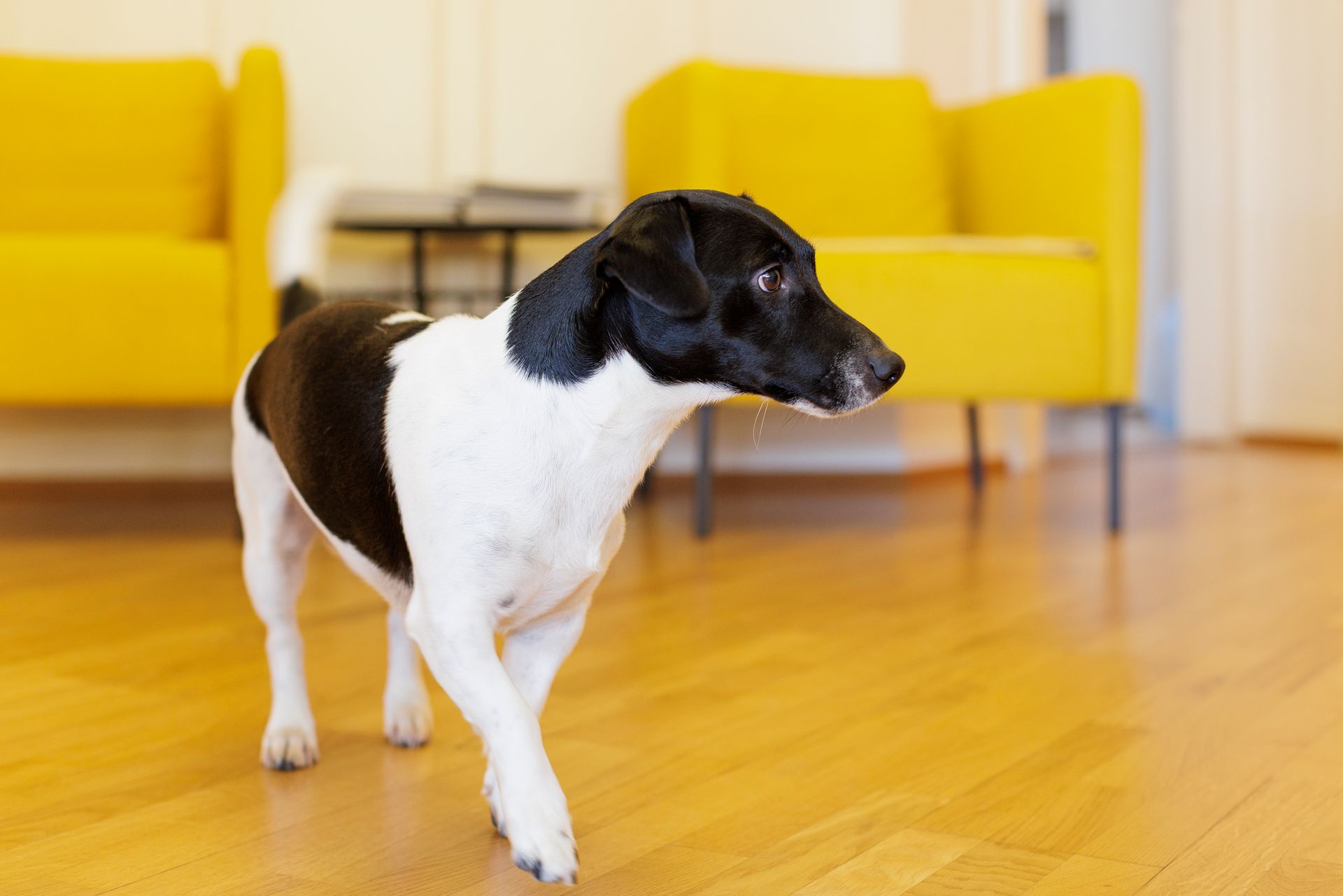 Etude Chiocchetti & Sievi