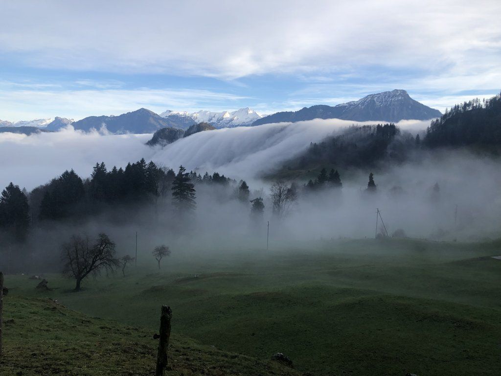 Praxis für Psychotherapie Albert Renato Brunner