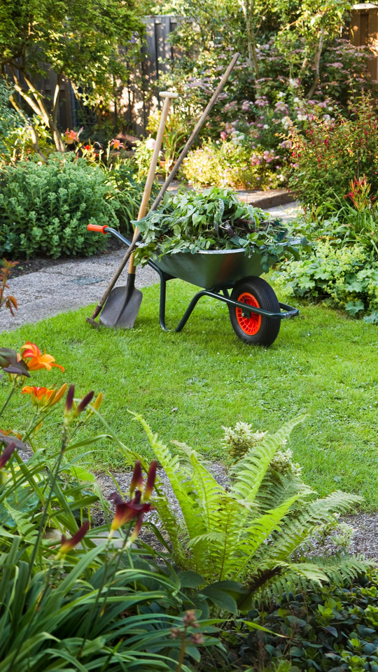 Une brouette remplie de végétaux dans un jardin