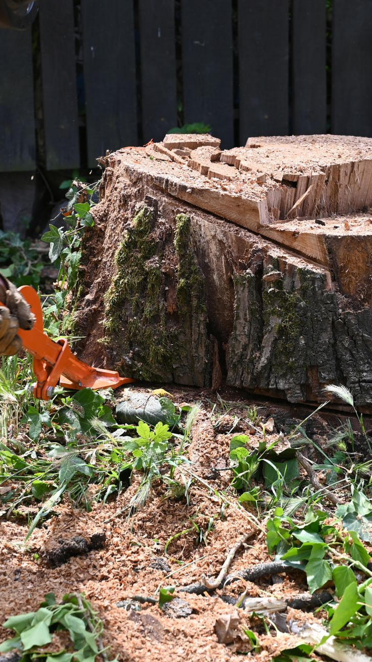 Un paysagiste qui effectue un dessouchage dans un jardin