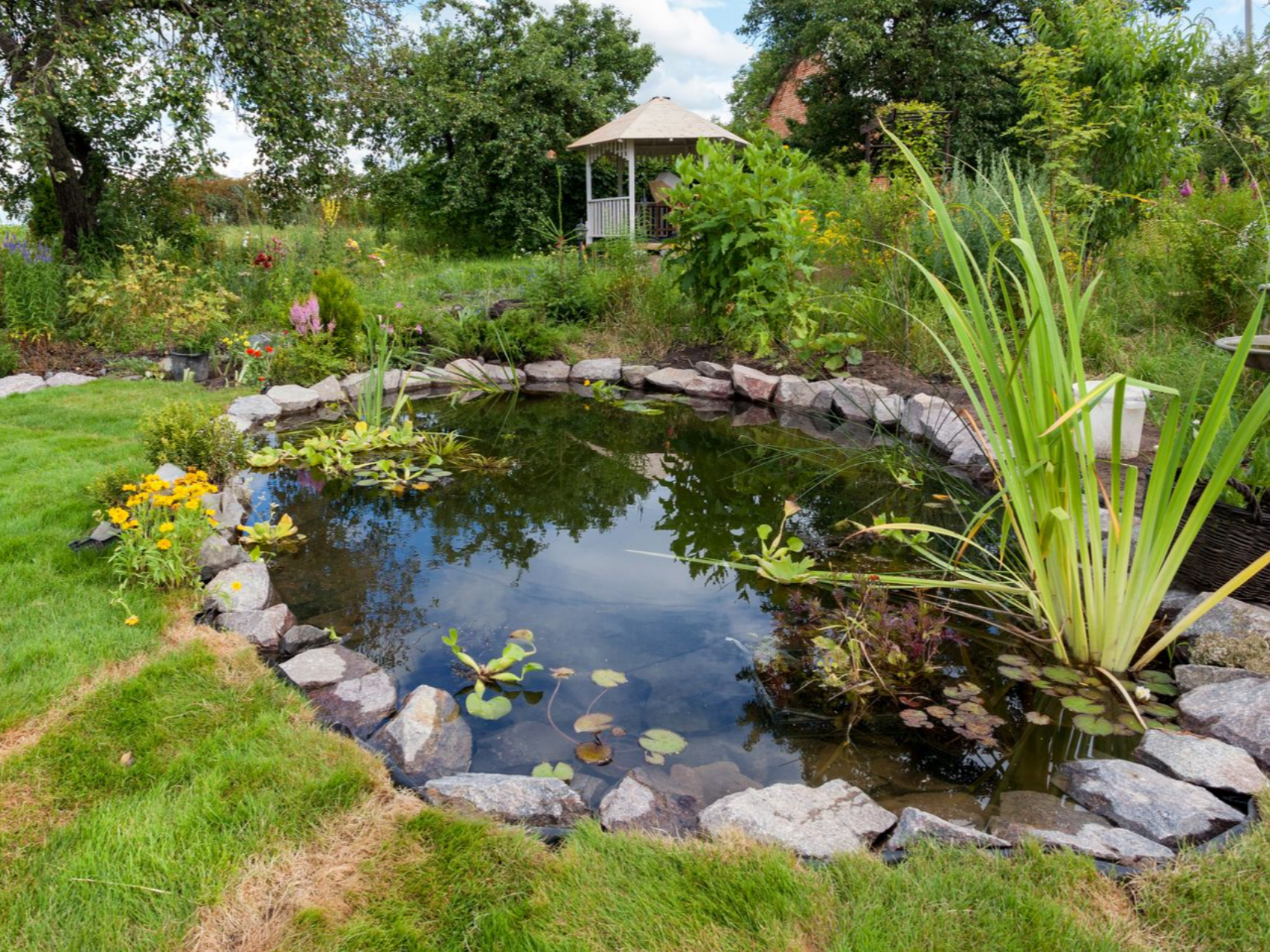 Un bassin aménagé dans le jardin d'un particulier