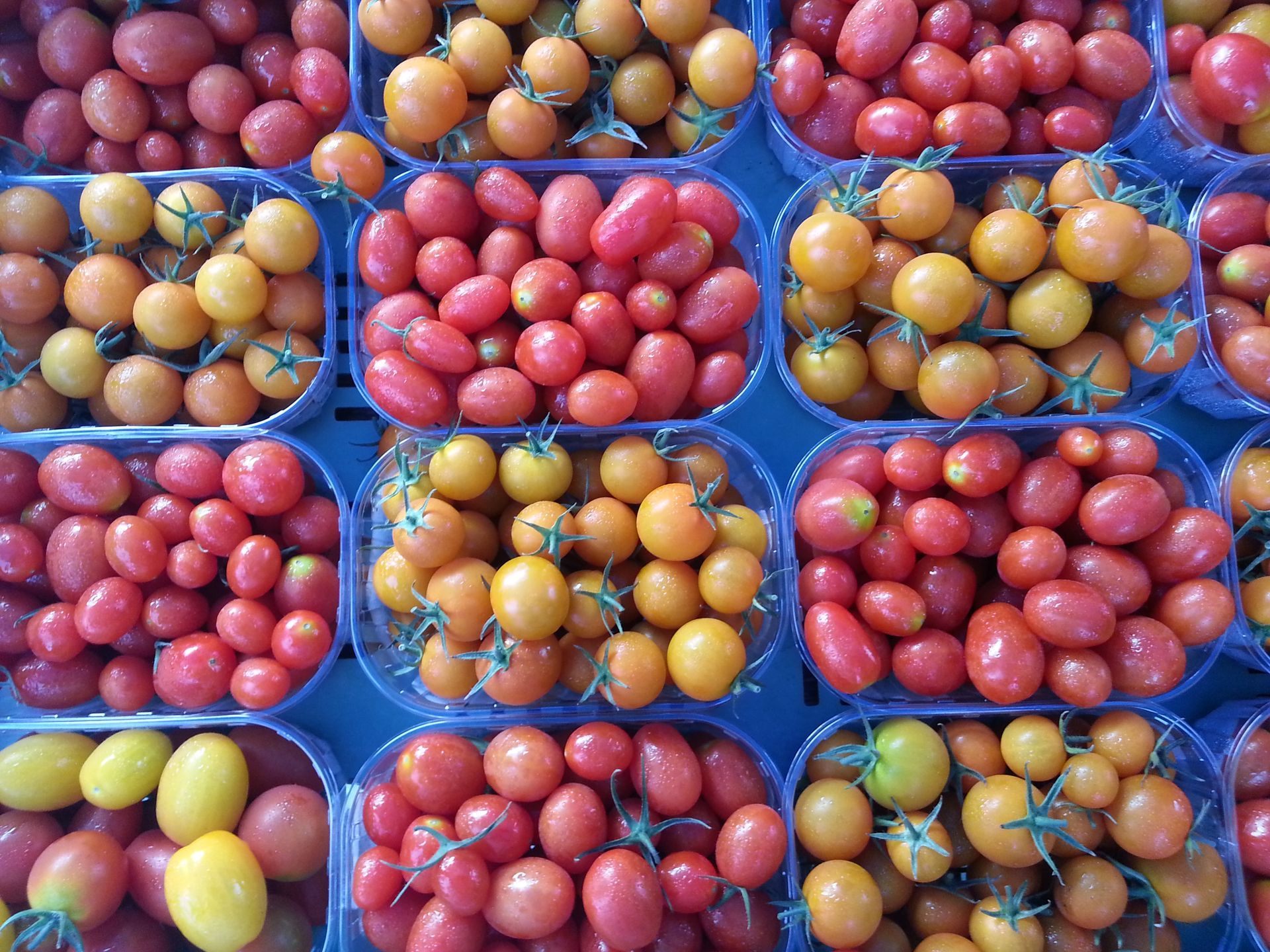 frutta mista - Azienda Ortofrutticola Taiana