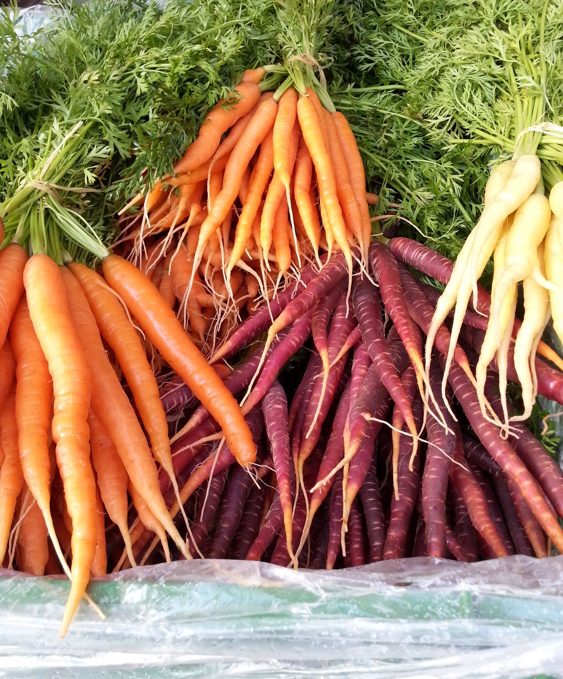 ortaggi - Azienda Ortofrutticola Taiana