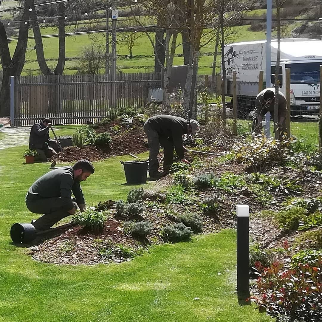 Gente haciendo jardinería, cuidando flores en un jardín cubierto de hierba cerca de un camión blanco.