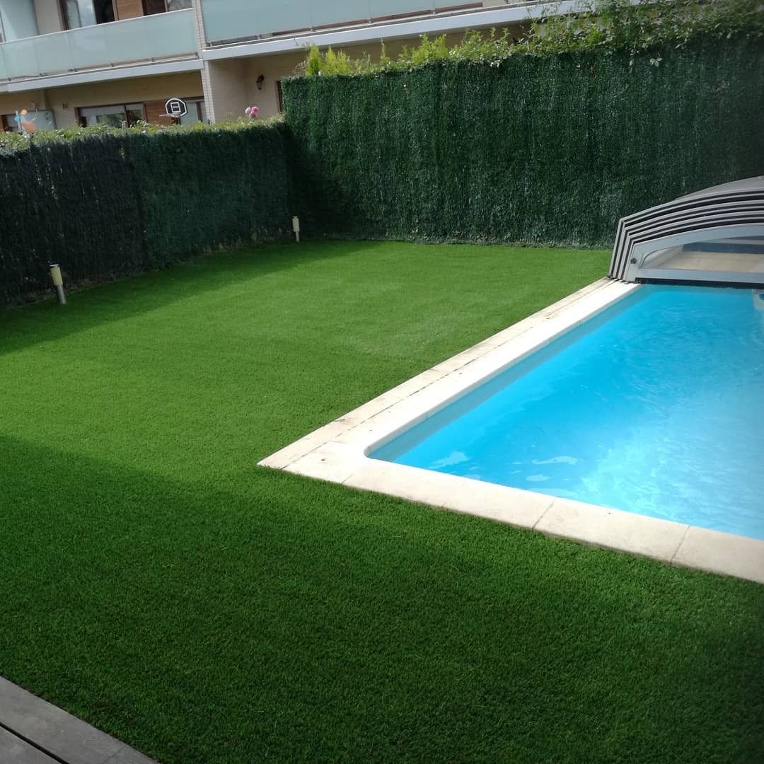 Un exuberante césped artificial verde rodea una piscina azul con un seto de privacidad en el fondo.
