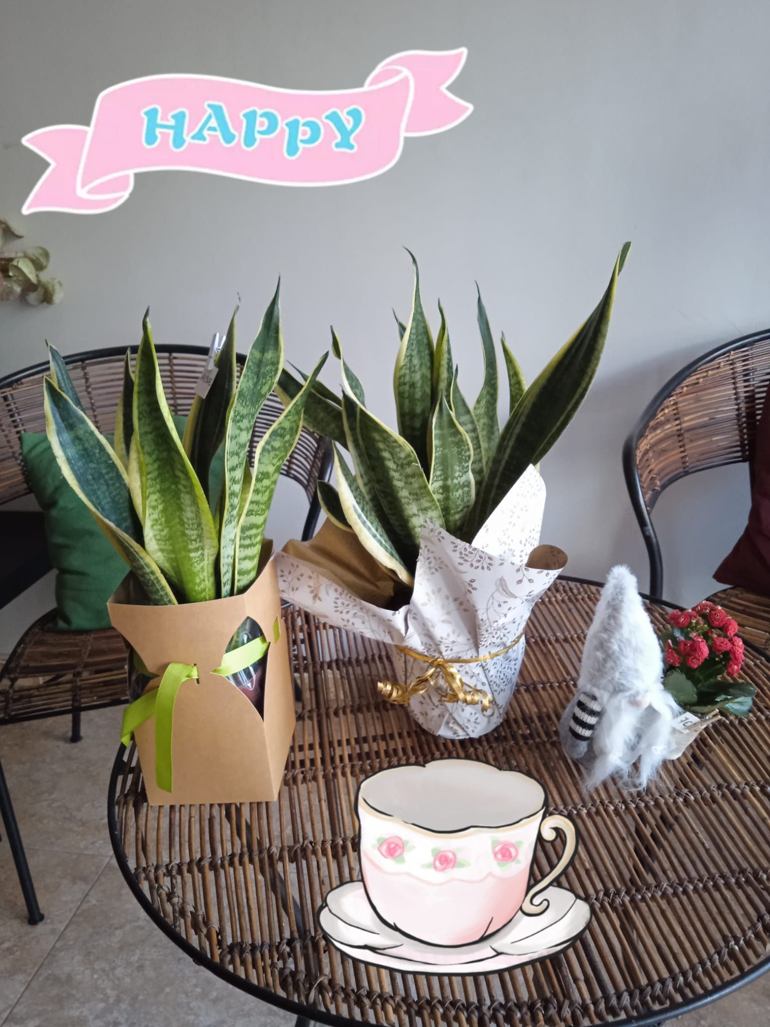 Hay dos plantas en macetas sobre una mesa al lado de una taza y un platillo.