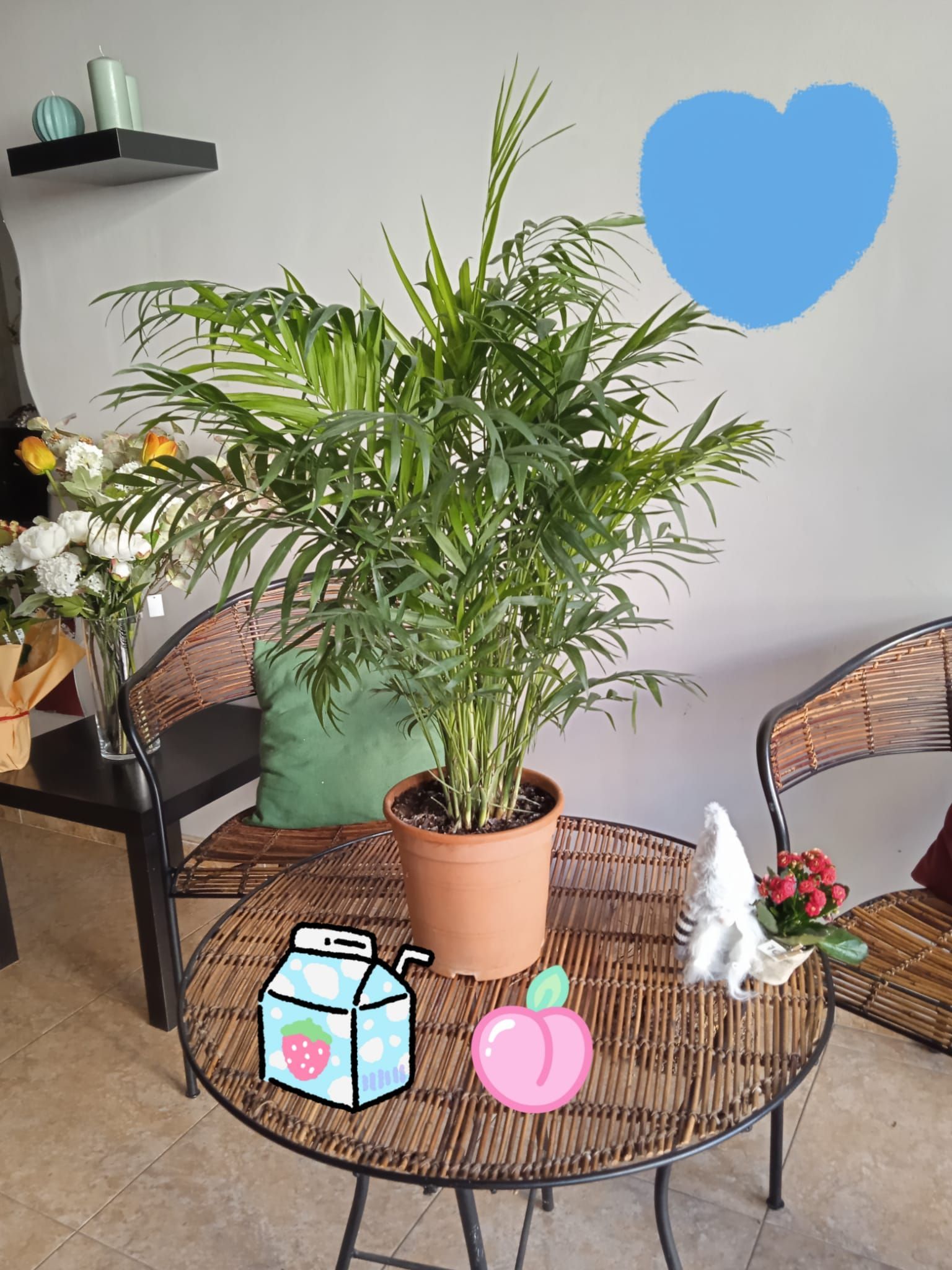 Una planta en maceta está sobre una mesa en una sala de estar.
