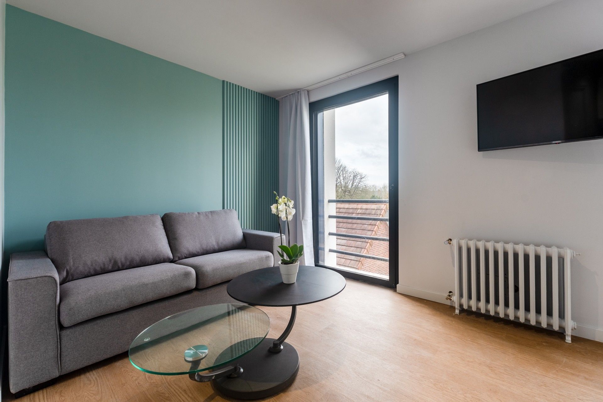 Canapé d'un salon contre un mur de couleur vert forestier.