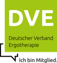 DVE Logo