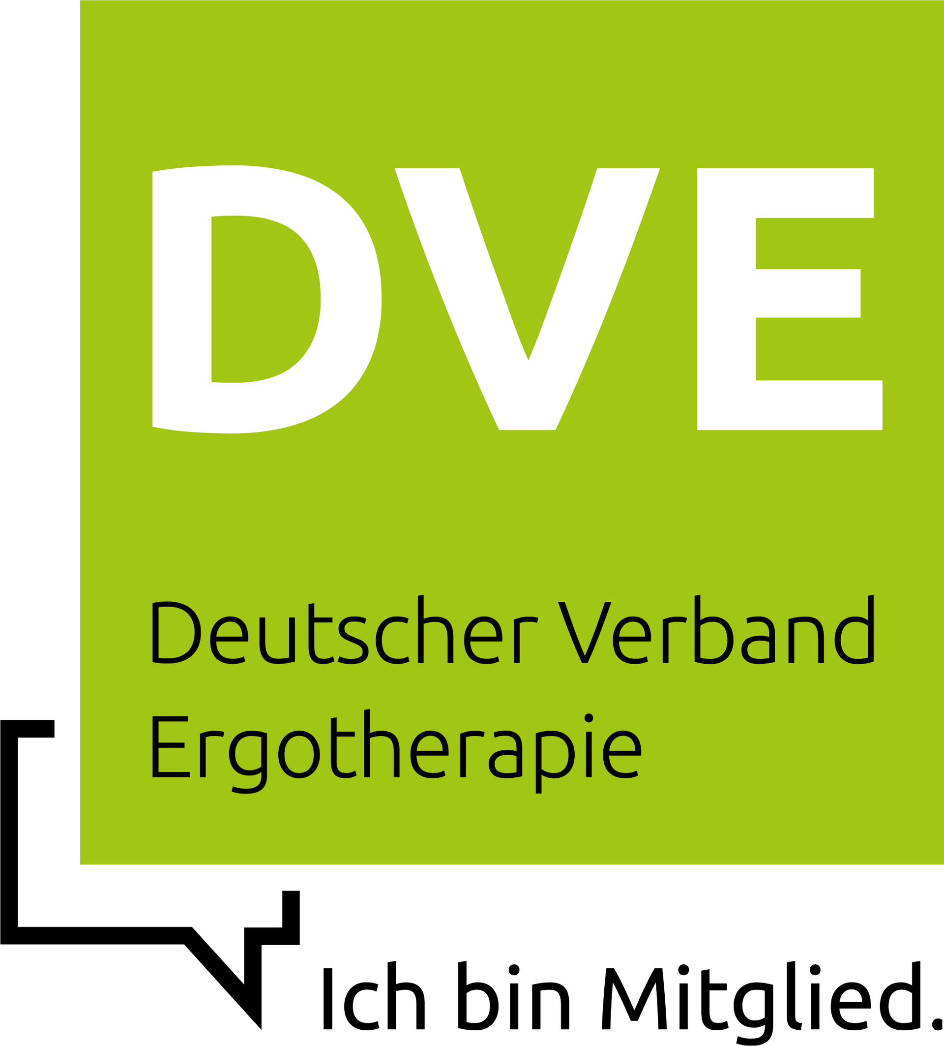 DVE Logo