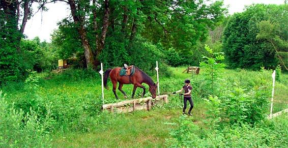 Le Ranch Du Bout Du Monde Découvrez en photos le Ranch Jack situé à Moutoux