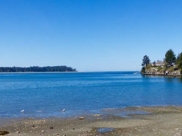 Blue ocean scene with clear sky, shoreline, and distant trees. Two birds stand on the shore.