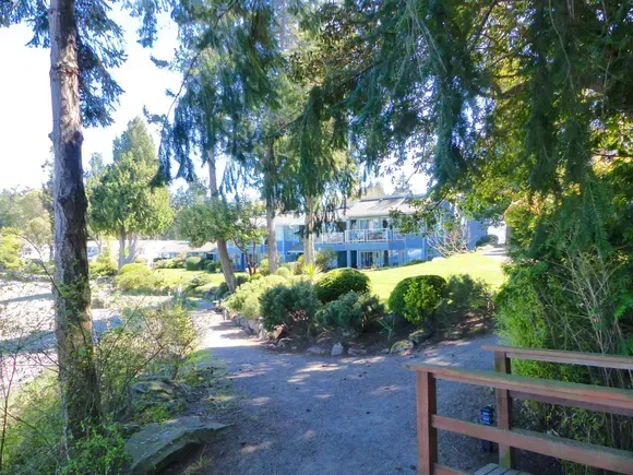 Path through trees leads to light blue buildings near a water body.