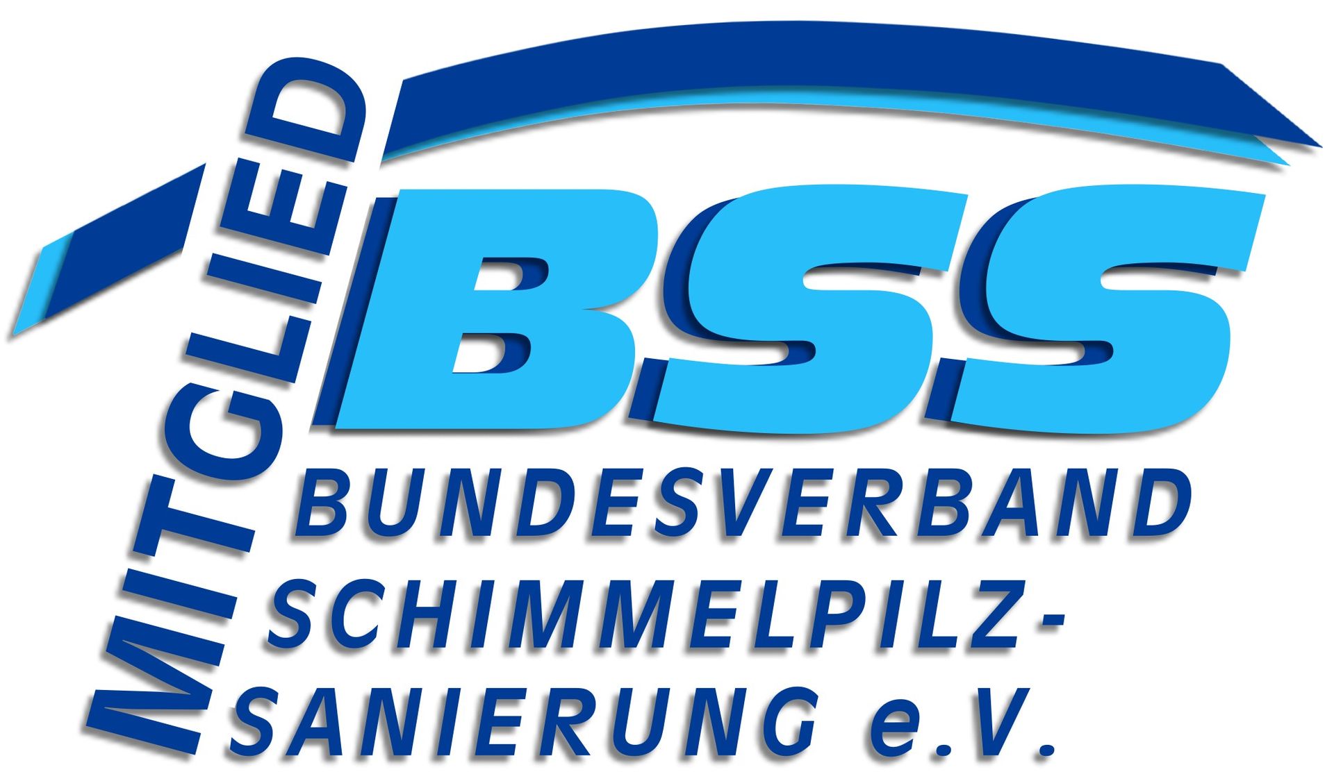 Logo of BSS (Bund-esverband Schimmelpilzsanierung e.V.) in blue and white. Text reads