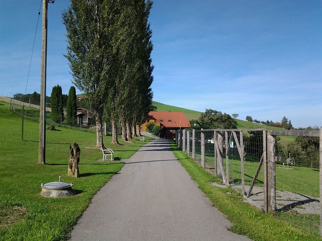 Pappelallee - Betreute Alterswohngemeinschaft - Hinterfultigen