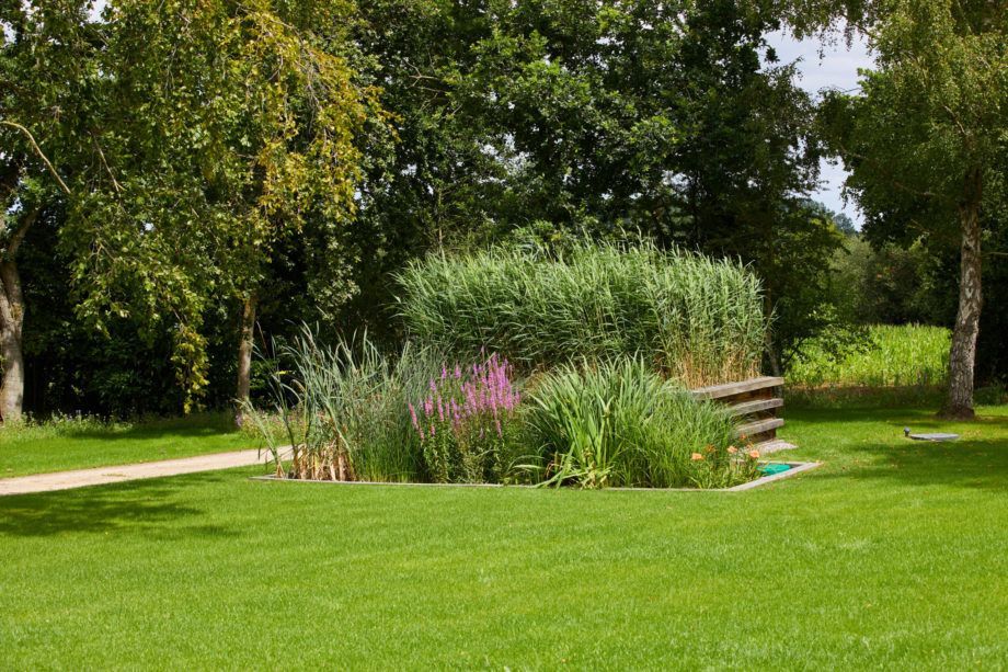 Un parc verdoyant avec un parterre de fleurs, de hautes herbes et des arbres par une journée ensoleillée