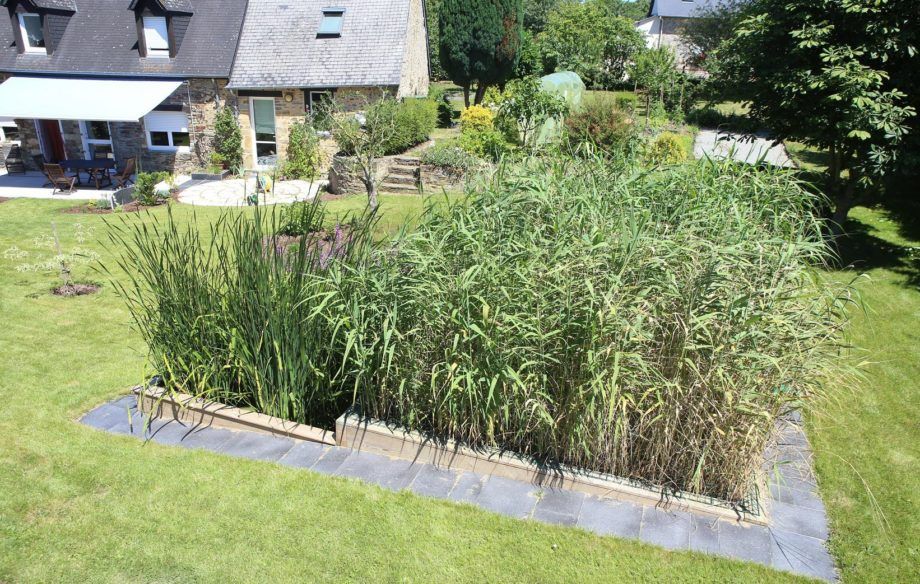 Étang de jardin ou massif bordé de pierres, planté de hautes herbes vertes près d’une maison