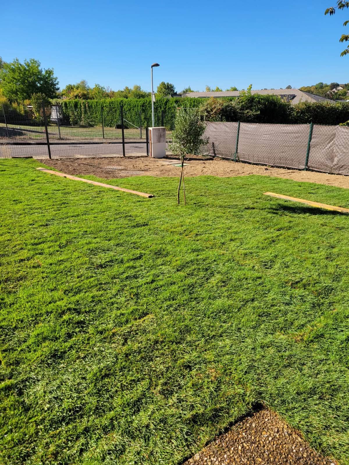 Arrière-cour ensoleillée avec une pelouse verte, de jeunes arbres et un grillage sous un ciel dégagé