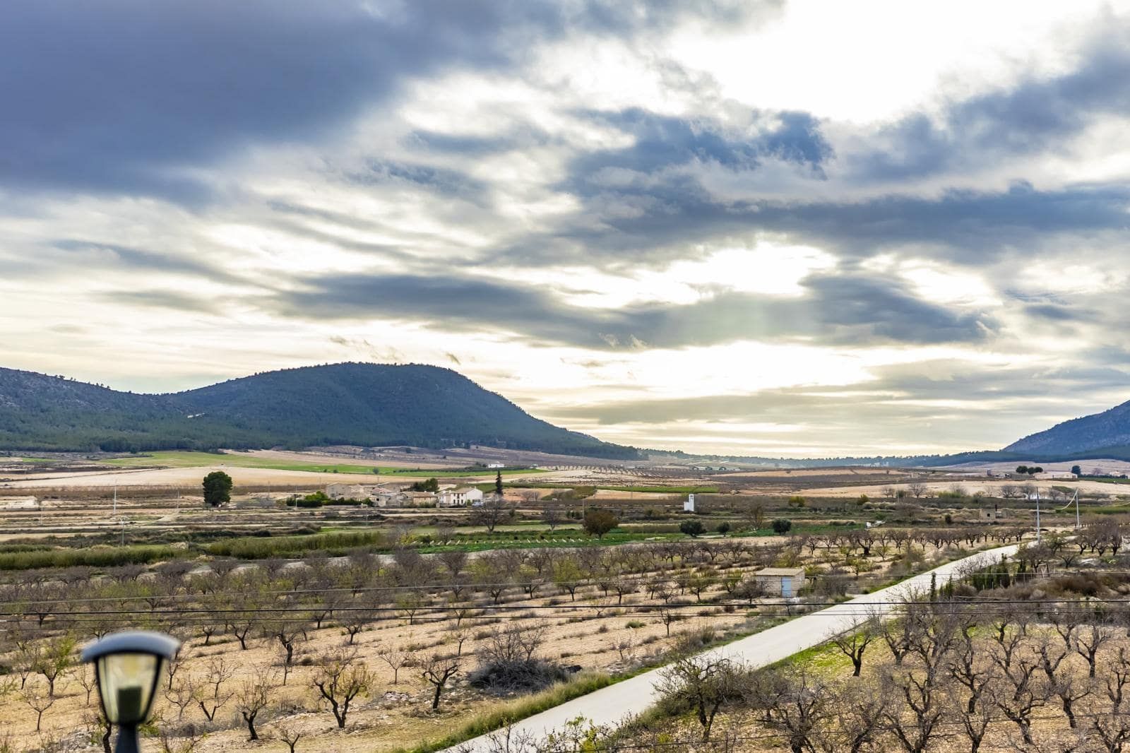 Vista de un valle con montañas, un camino y árboles desnudos bajo un cielo nublado.