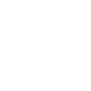 Icon Schutzschild Schloss