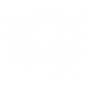 Icon Schutzschild Schloss