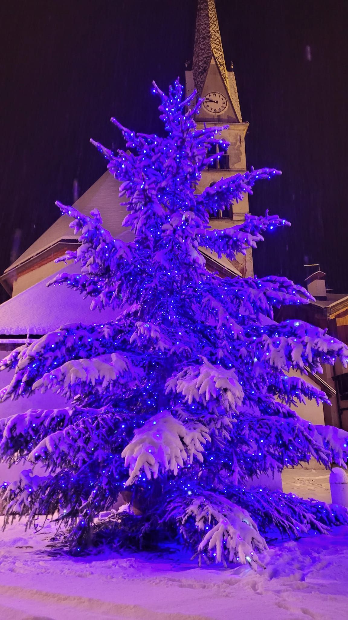 Albero di Natale innevato illuminato da luci viola, di fronte a un edificio con campanile di notte.