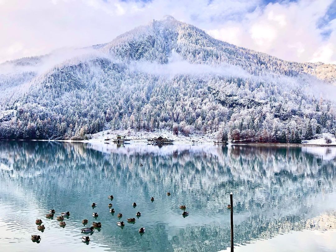 Montagne innevate riflesse in un lago calmo e turchese; piccoli uccelli scuri sull'acqua.