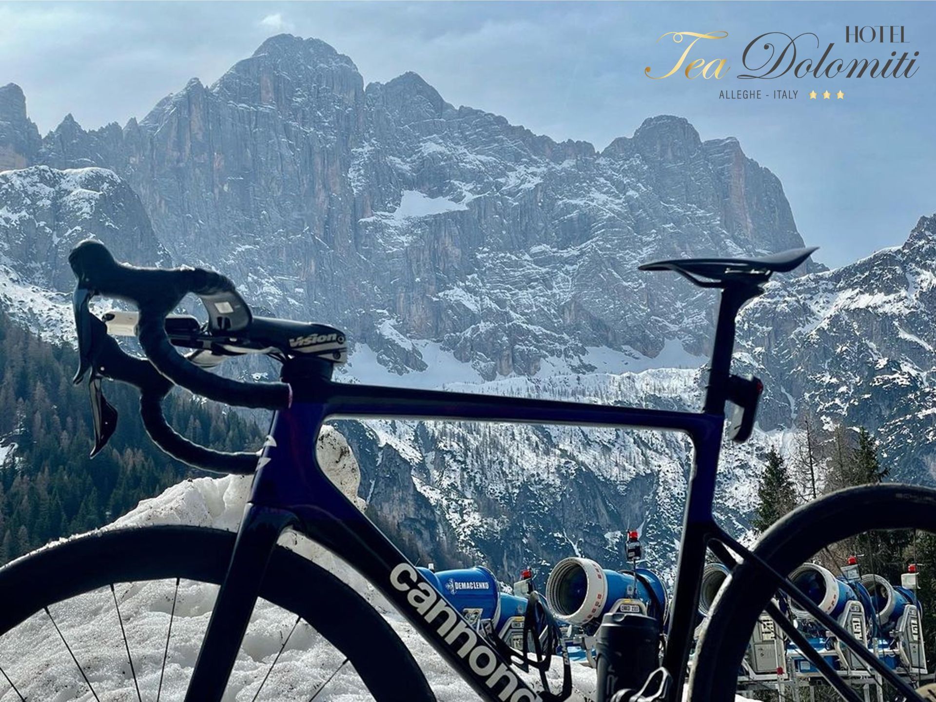 Bici da strada con montagne innevate sullo sfondo. Logo 