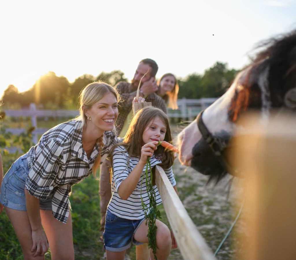 Deux enfants et deux adultes sourient à un cheval par-dessus une clôture dans un champ ensoleillé
