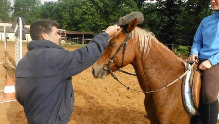 Une personne touche le visage d'un cheval brun tandis que son cavalier est assis dans un manège extérieur.