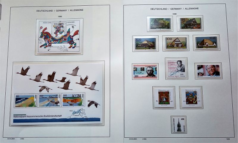 Placeholder with text