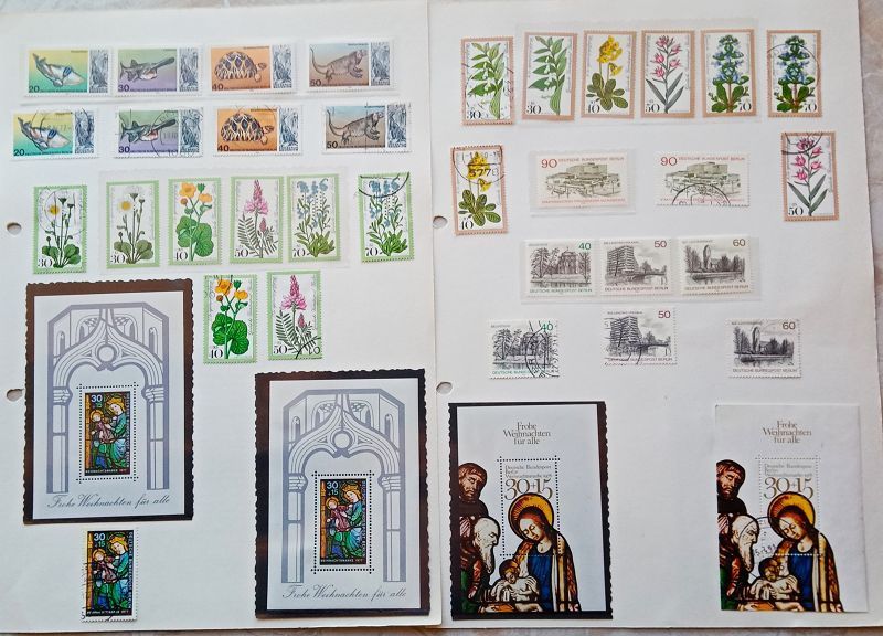 Placeholder with text