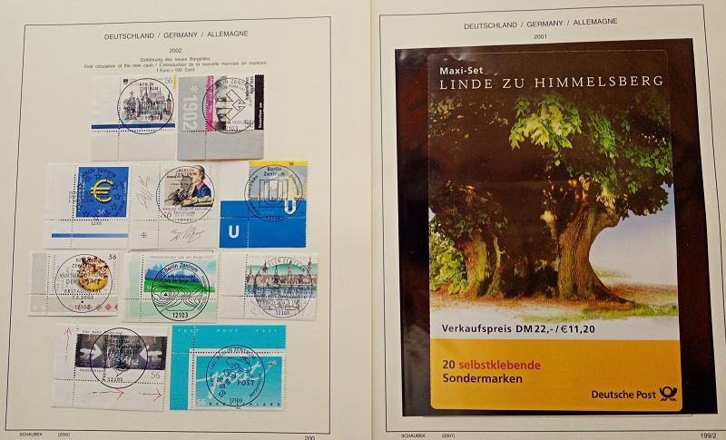 Placeholder with text