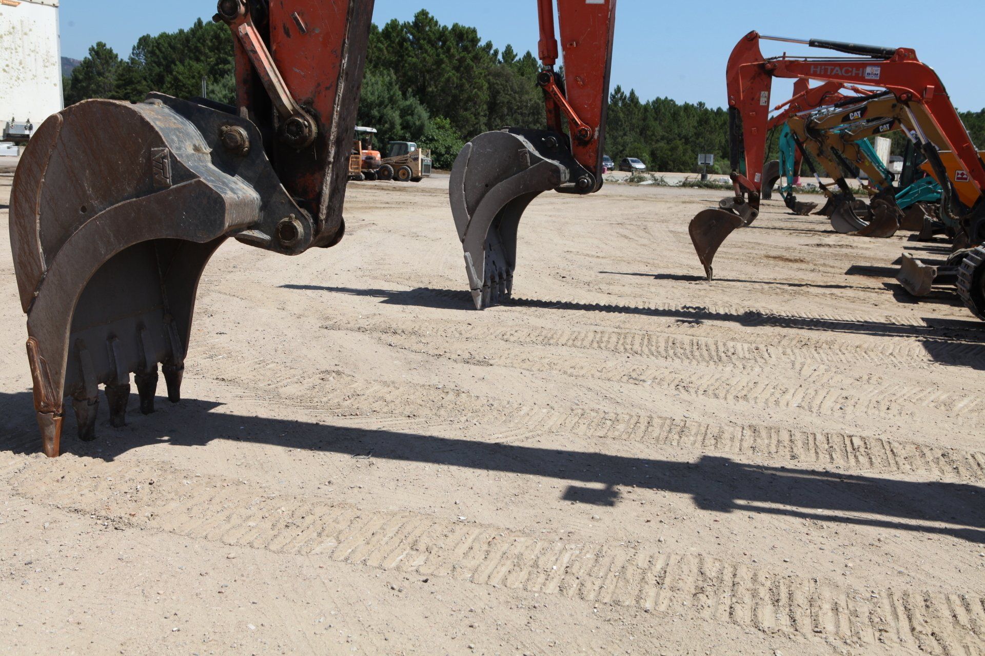 Pelles Malagoli alignées