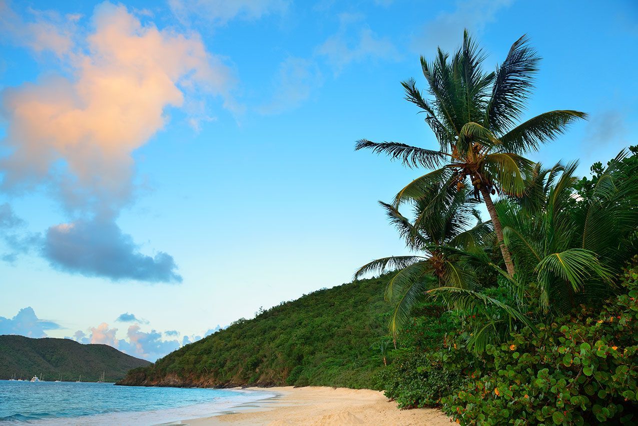 a tropical beach with palm trees and mountains in the background