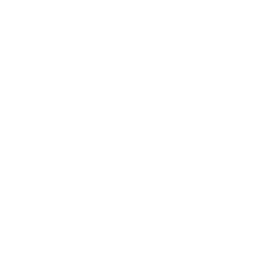 airportvan icon