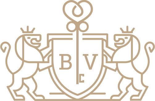 bespoke villas icon