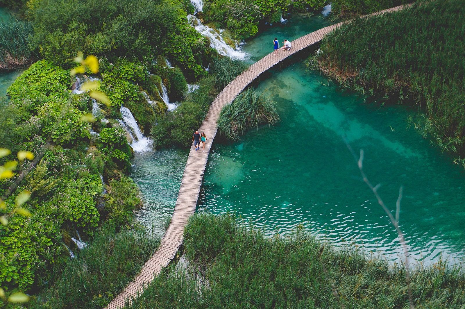 an aerial view of a wooden bridge over a lake surrounded by trees