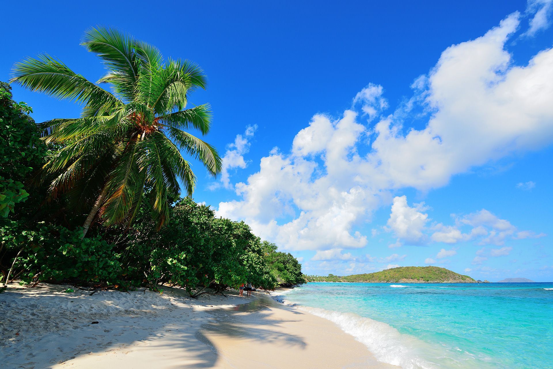 a tropical beach with a palm tree in the foreground