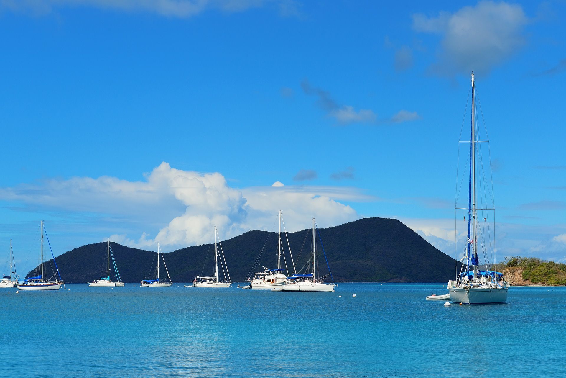 a group of sailboats are docked in a large body of water .